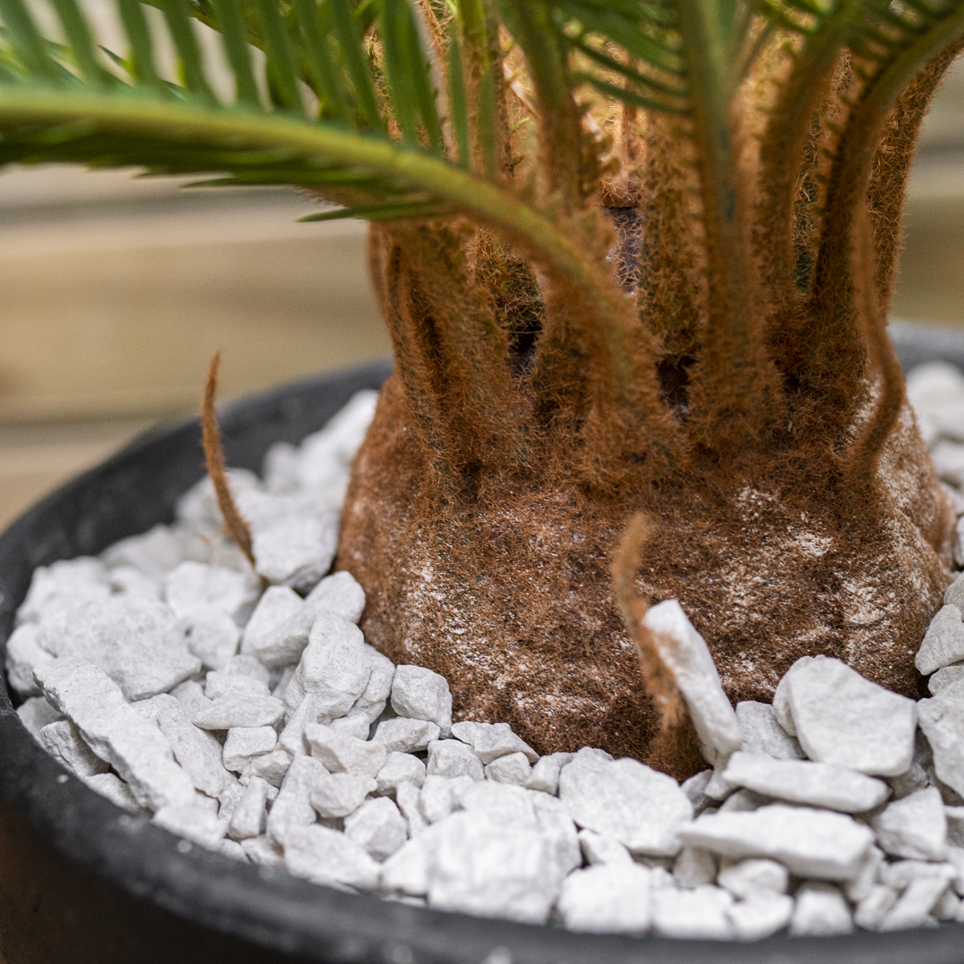 FCM01343_1080px-HomeStaged 1080-2